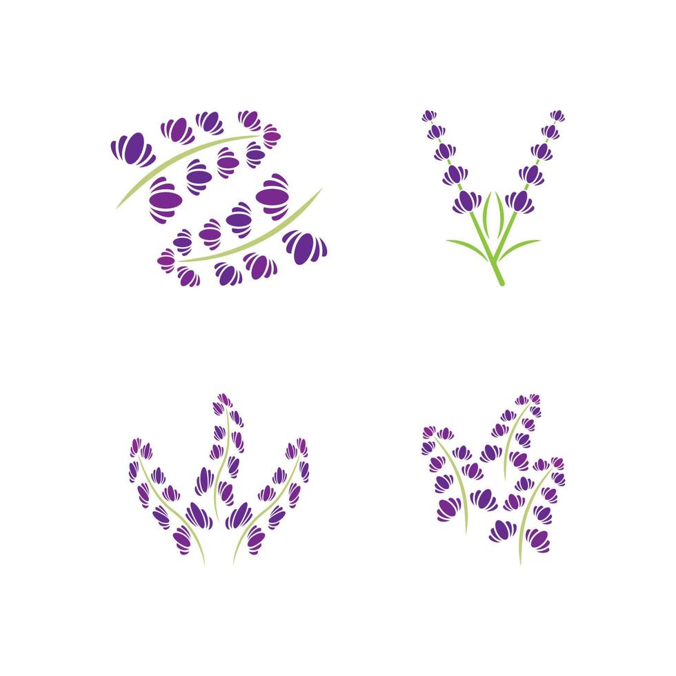 vector de logotipo de flor de lavanda fresca