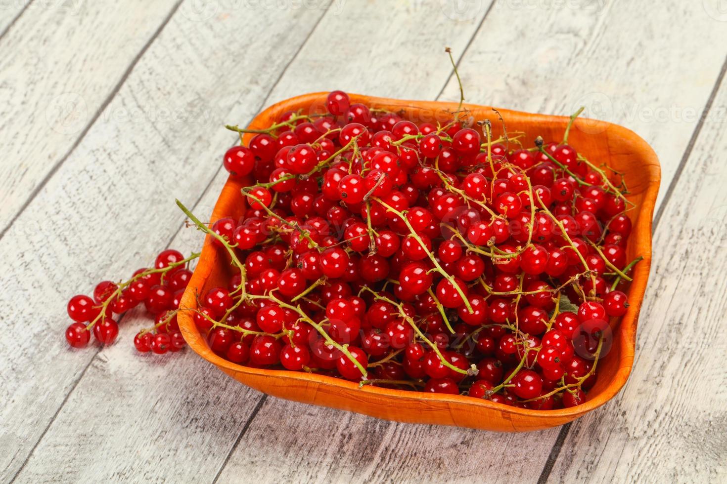 Sweet tasty fresh Red currant photo