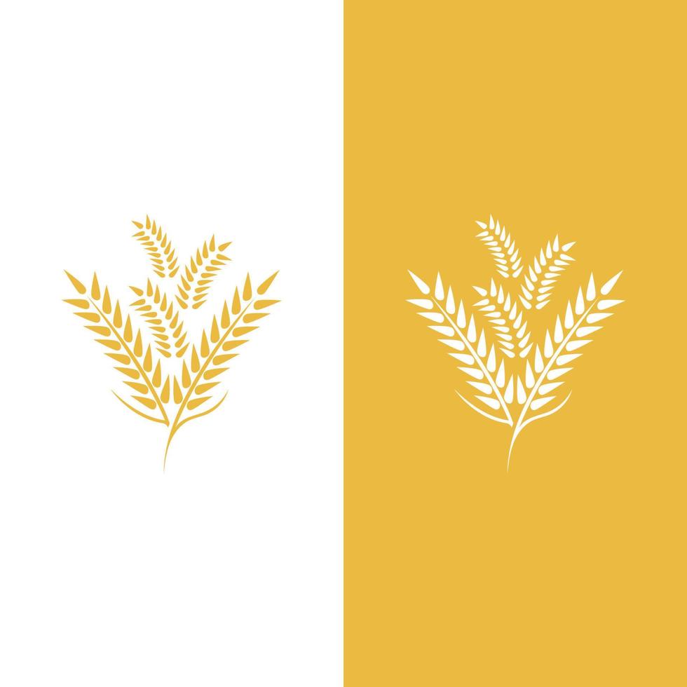 Wheat logo vector icon illustration