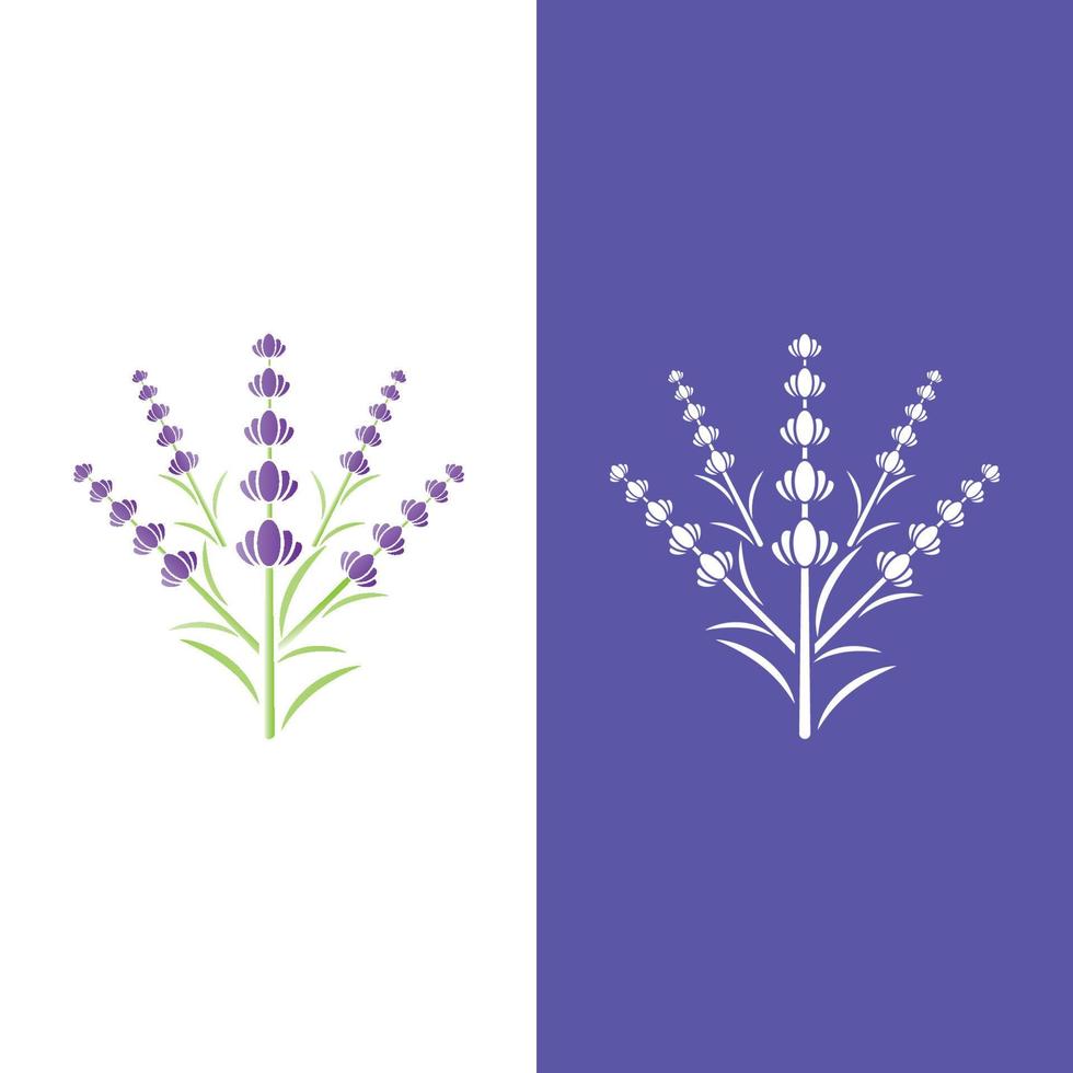 Fresh Lavender flower logo vector