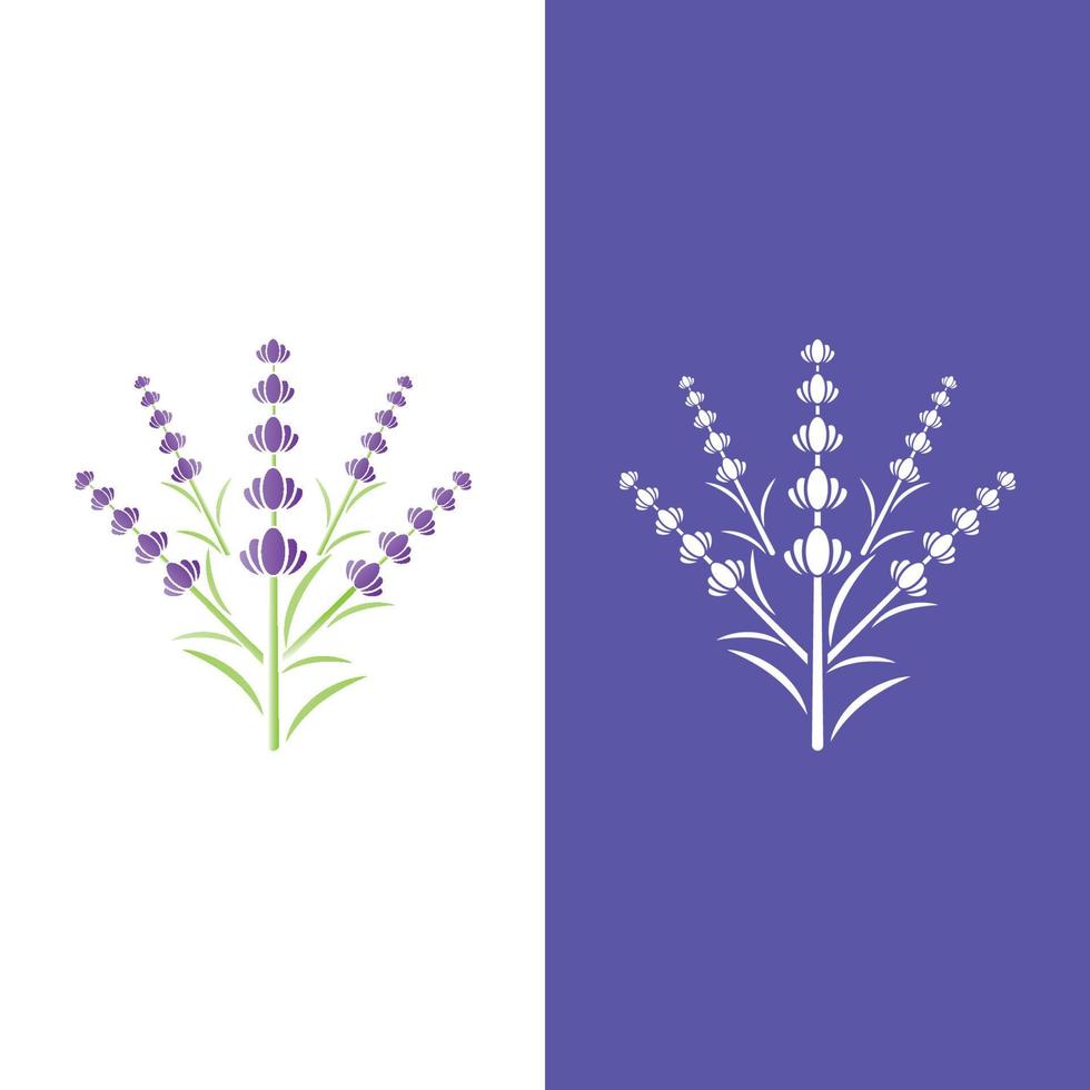 vector de logotipo de flor de lavanda fresca