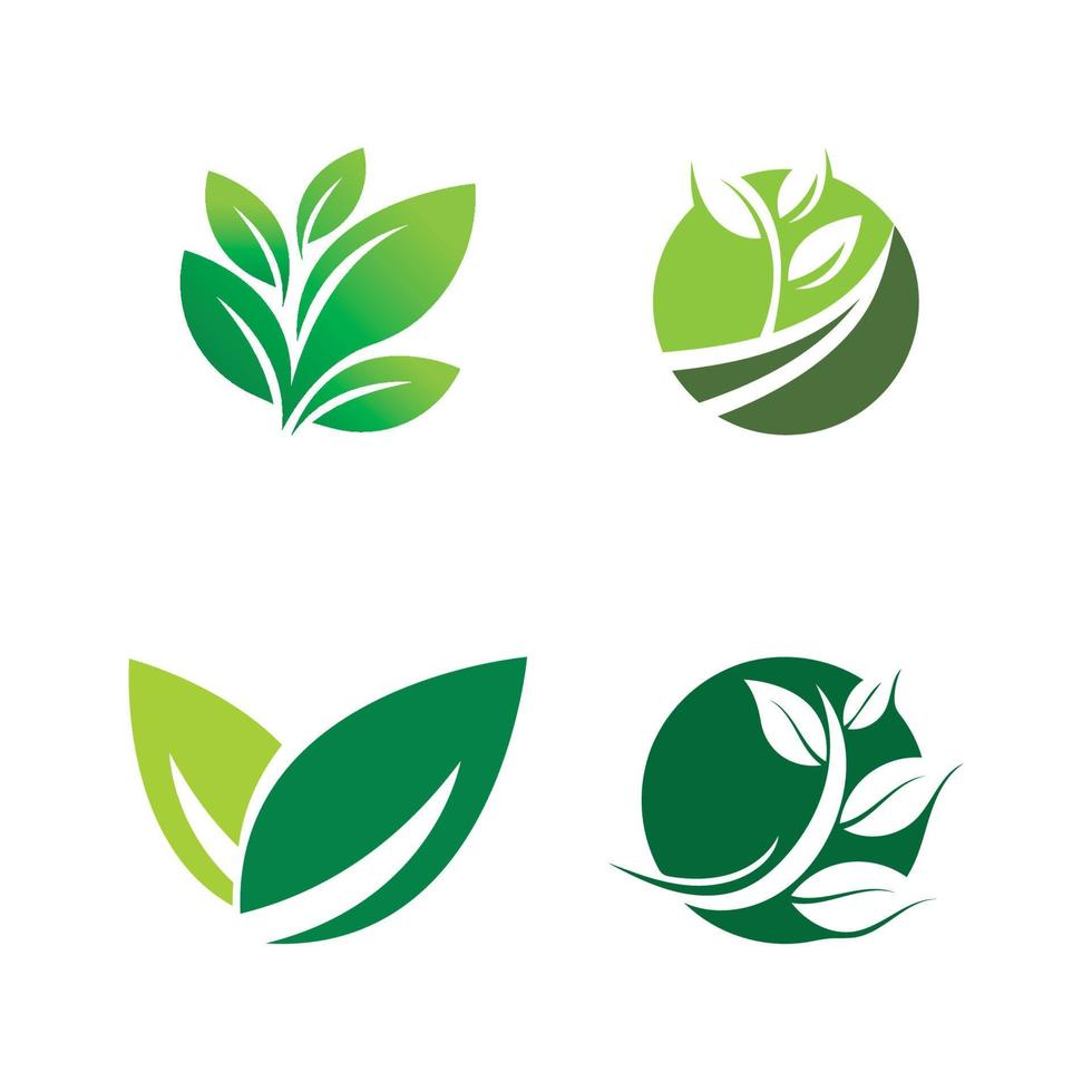 logotipos de la ecología de la hoja del árbol verde vector