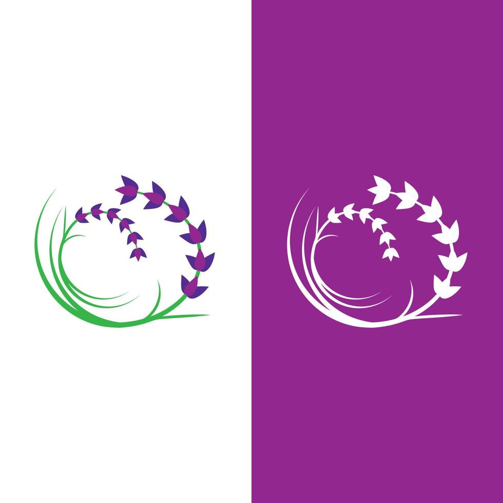 vector de logotipo de flor de lavanda fresca