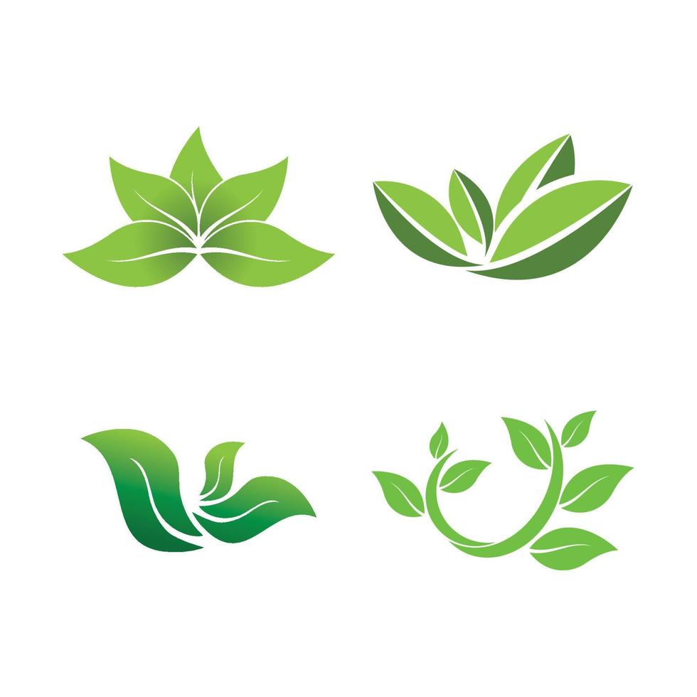 logotipos de la ecología de la hoja del árbol verde vector