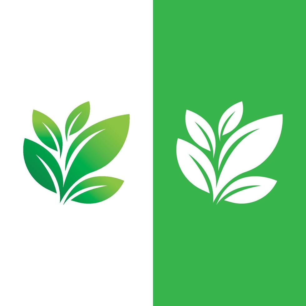 logotipos de la ecología de la hoja del árbol verde vector