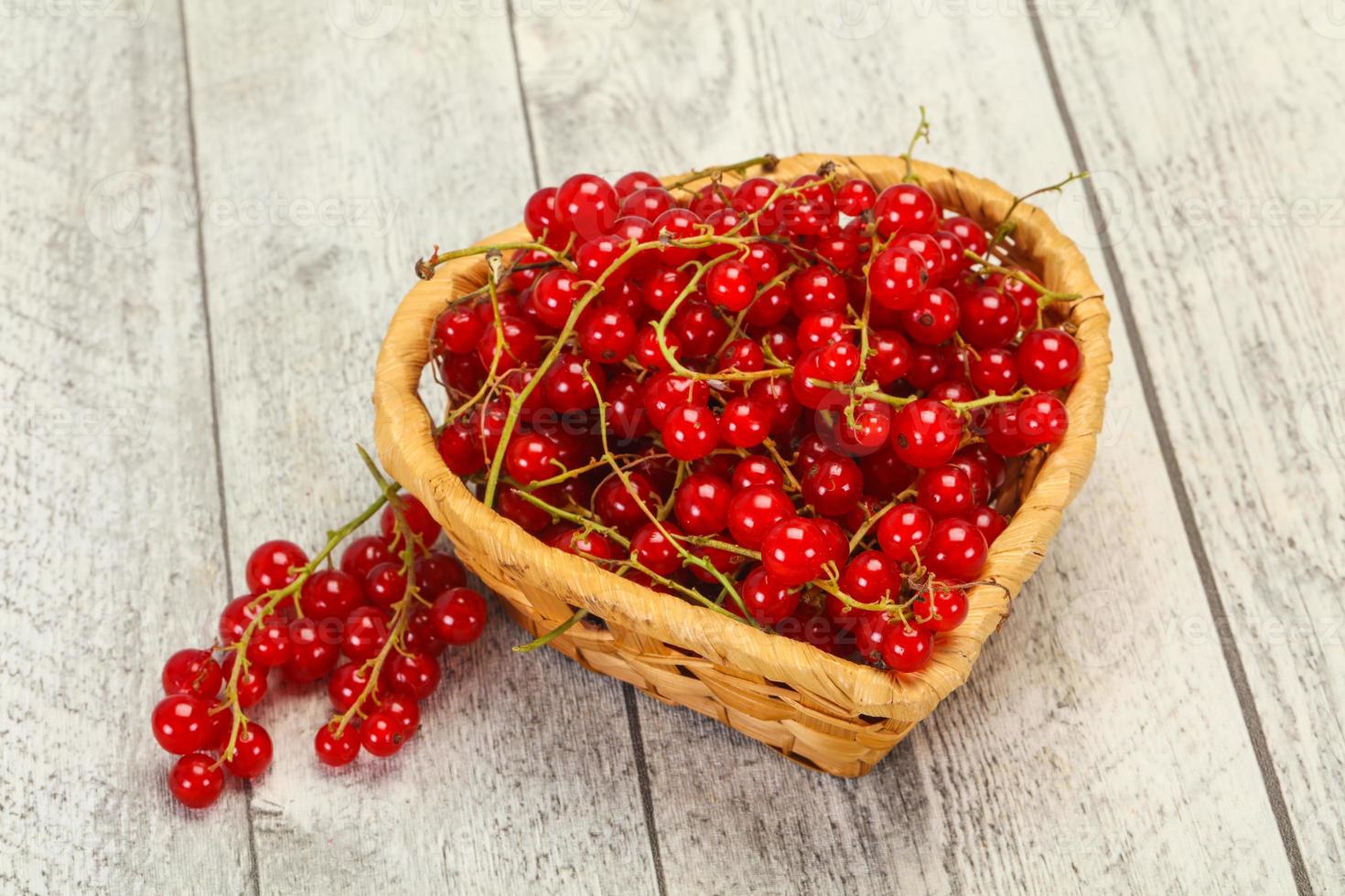 Sweet tasty fresh Red currant photo