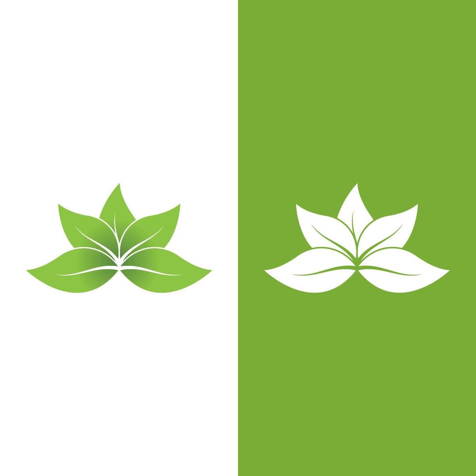 Logos of green Tree leaf ecology vector