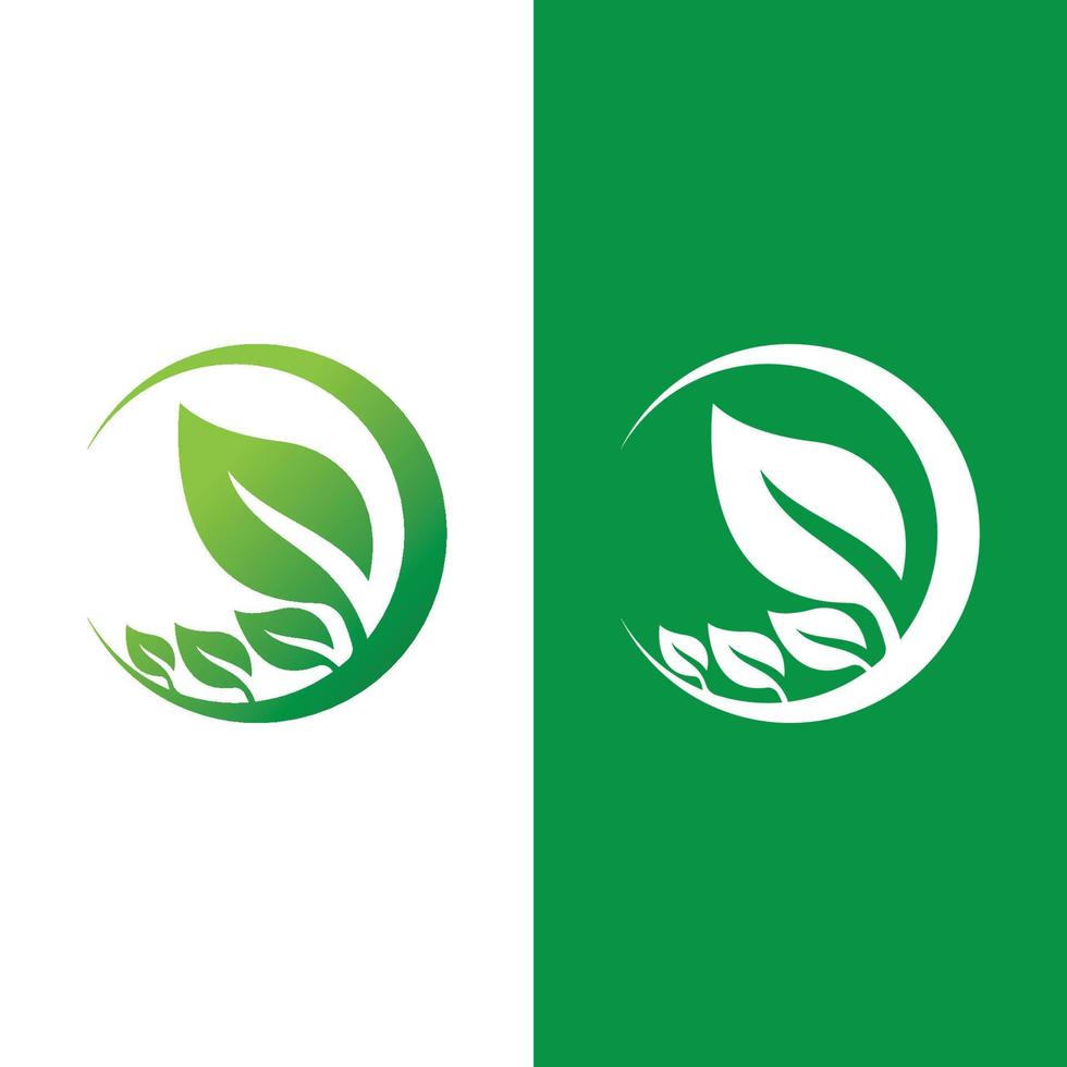 logotipos de la ecología de la hoja del árbol verde vector