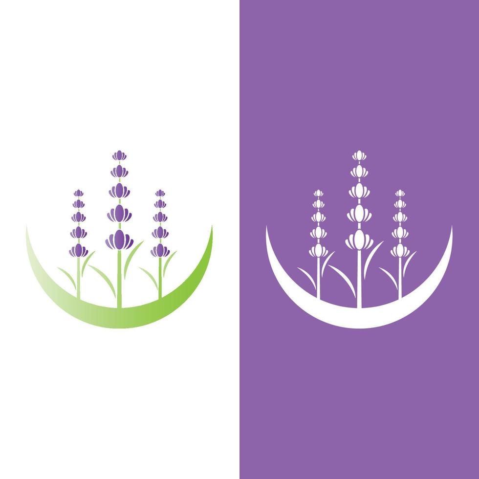 vector de logotipo de flor de lavanda fresca