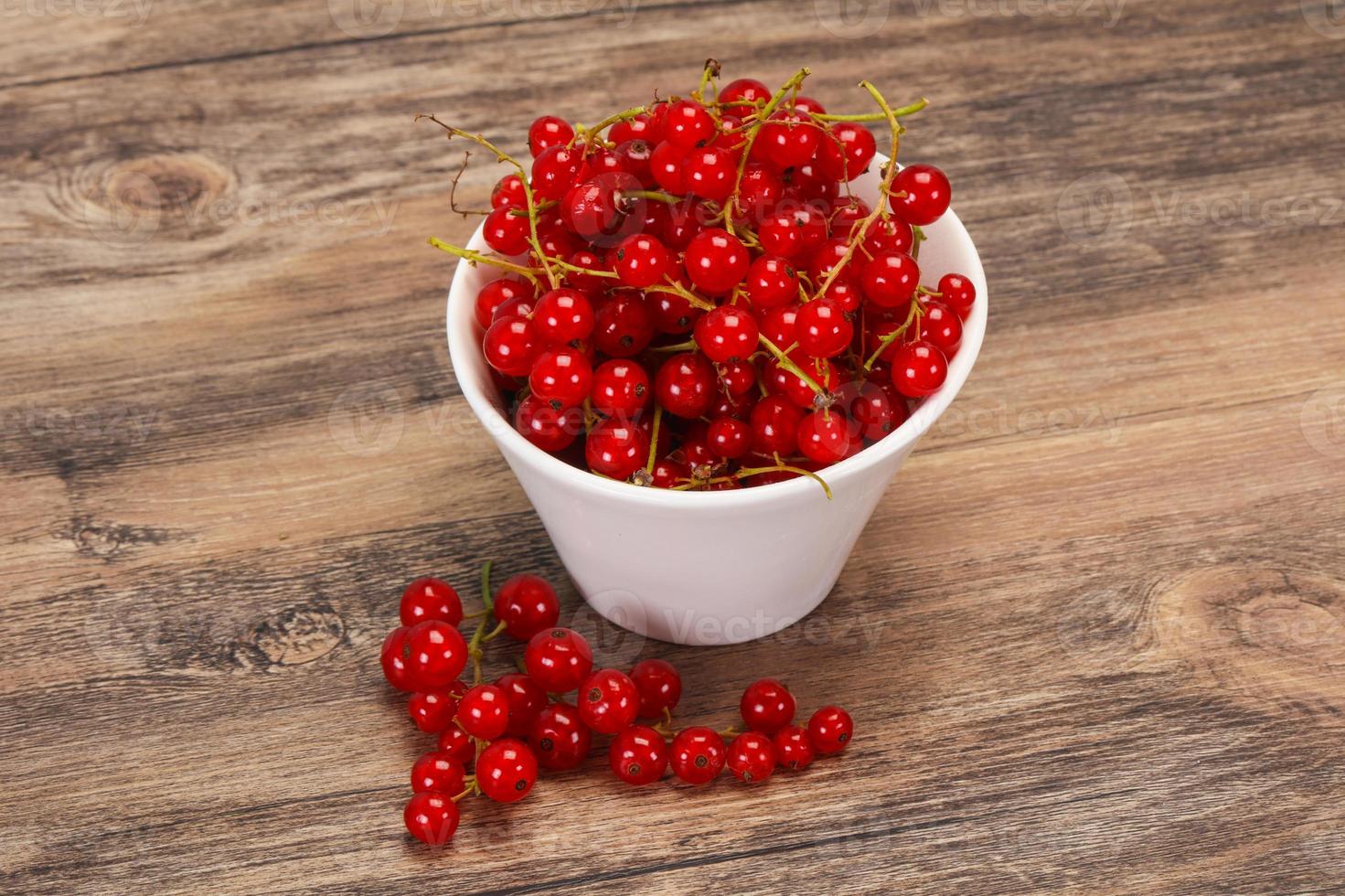 Sweet tasty fresh Red currant photo