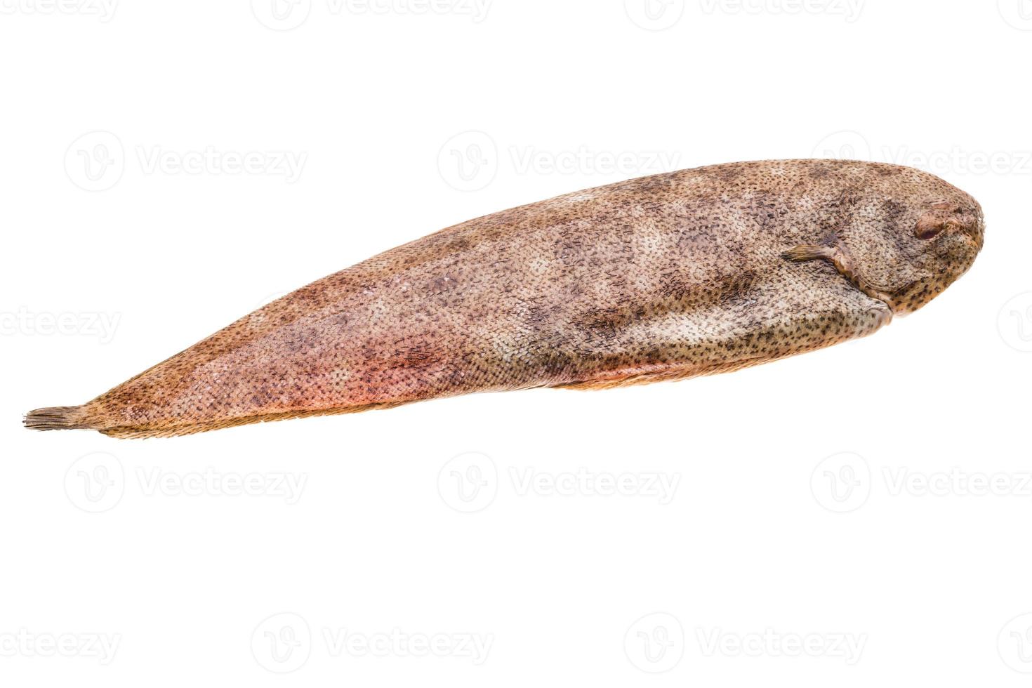 Fish Dover sole photo