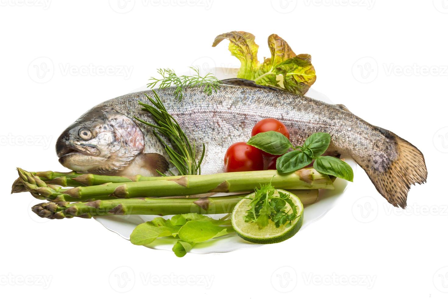 Fresh raw rainbow trout photo