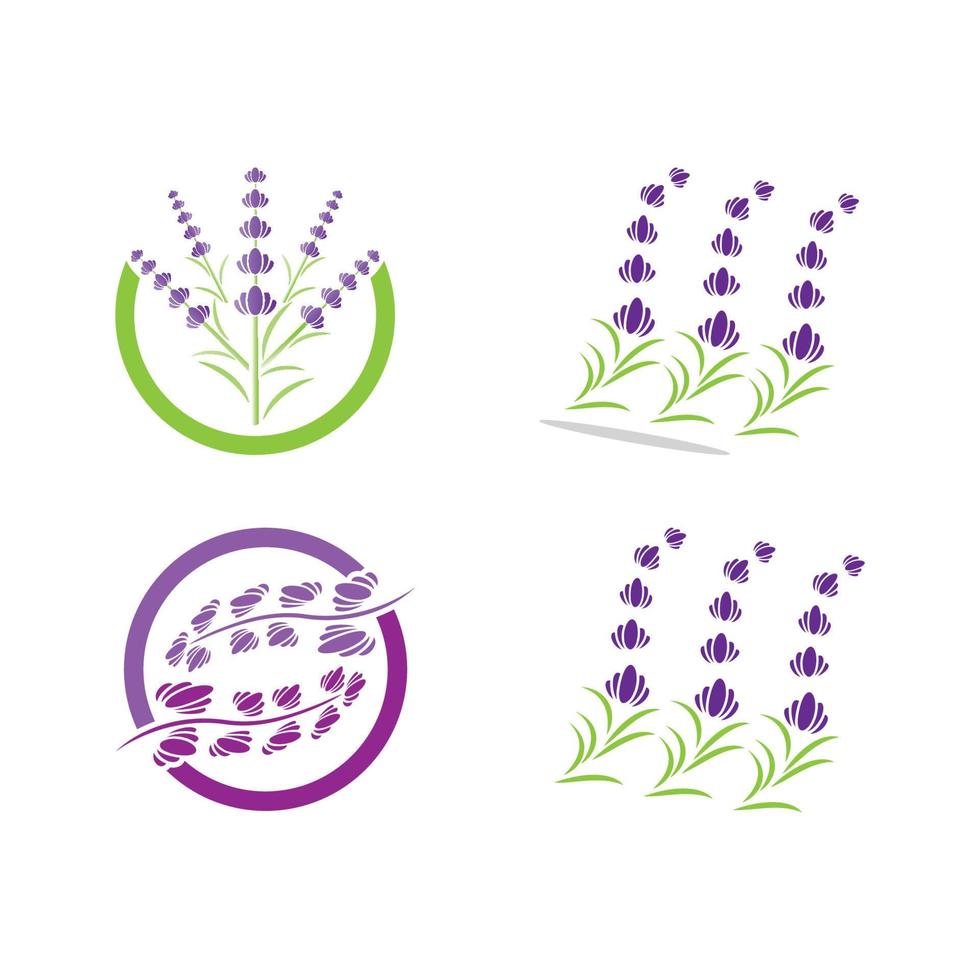 vector de logotipo de flor de lavanda fresca