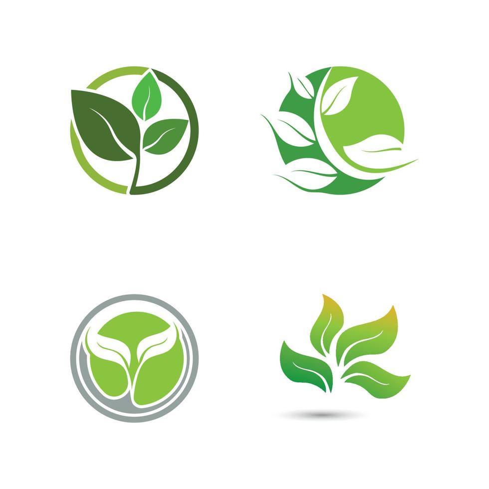 Logos of green Tree leaf ecology vector