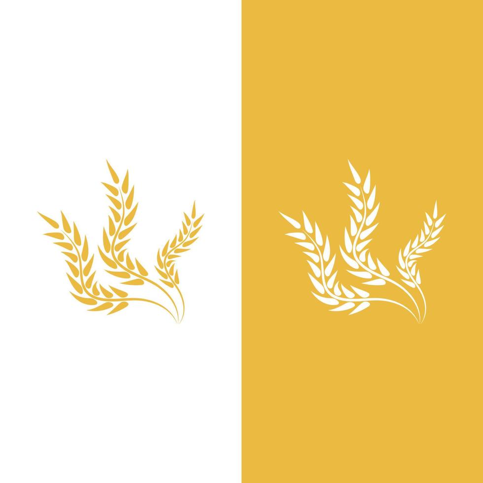 Wheat logo vector icon illustration