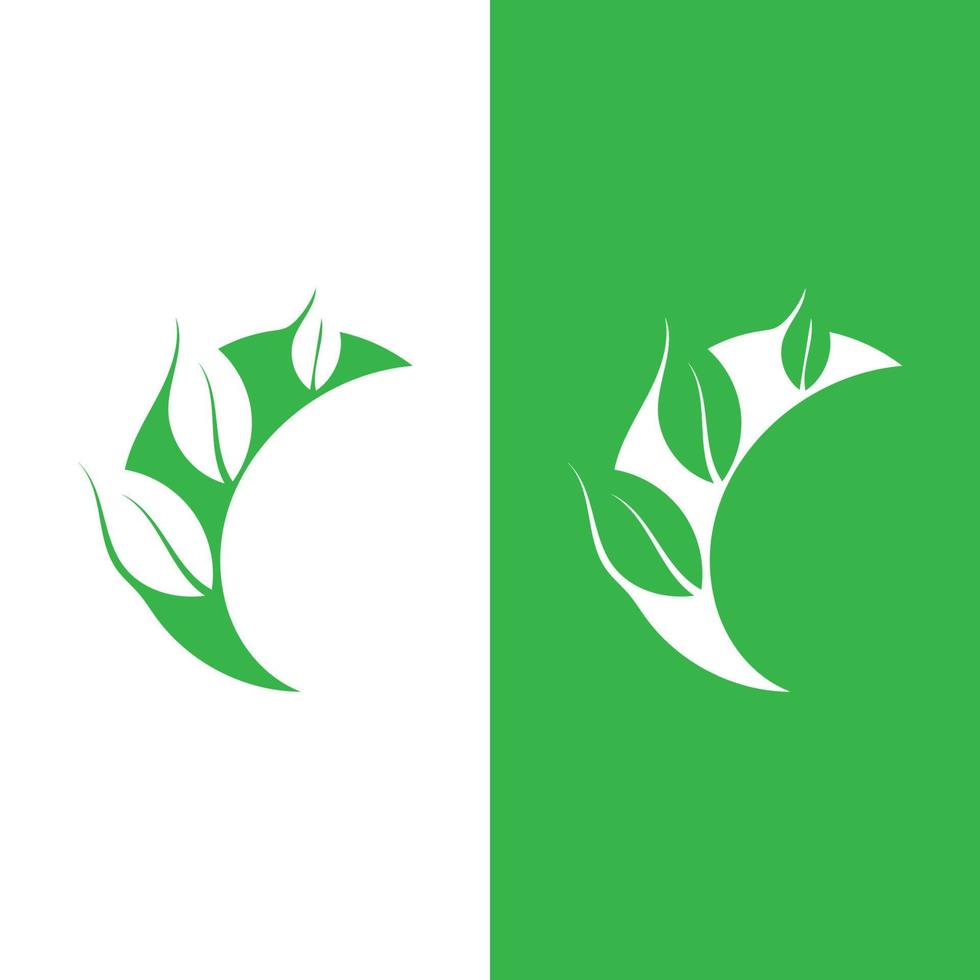 Logos of green Tree leaf ecology vector