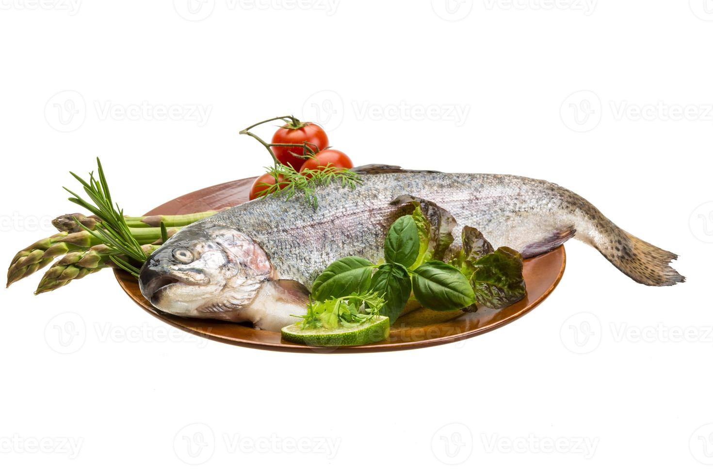 Fresh raw rainbow trout photo