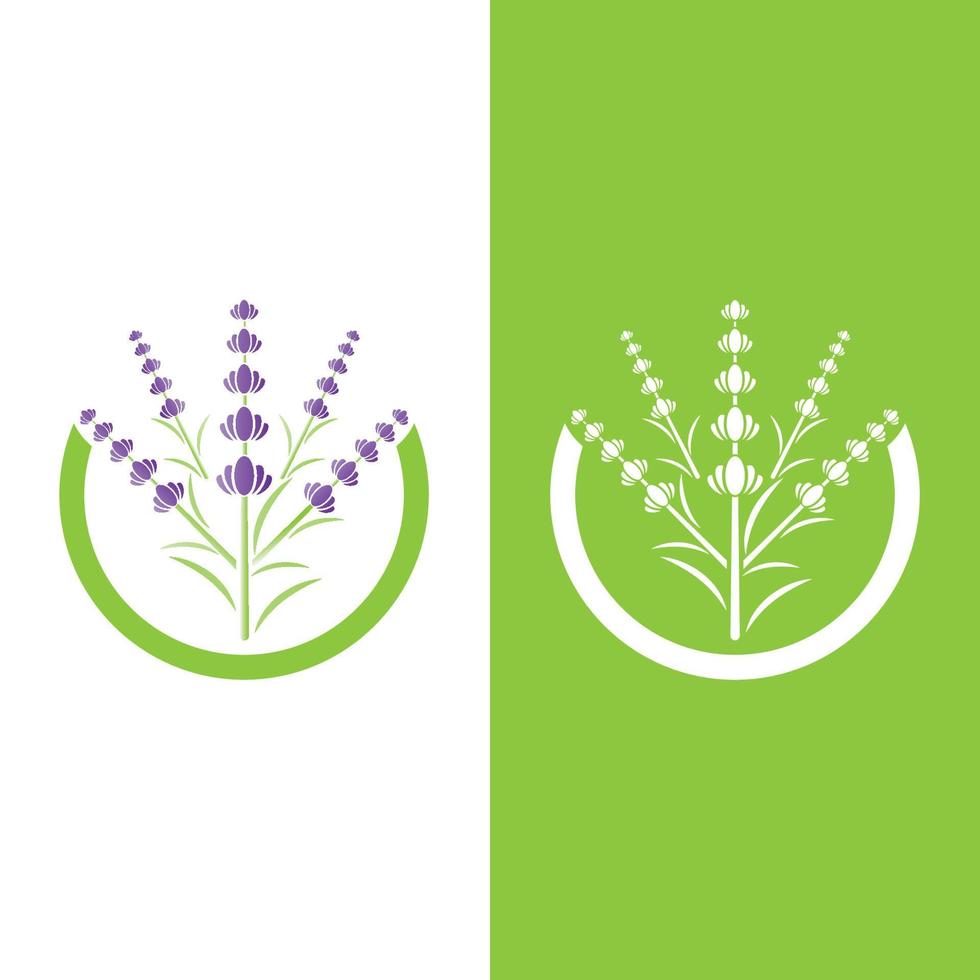 Fresh Lavender flower logo vector