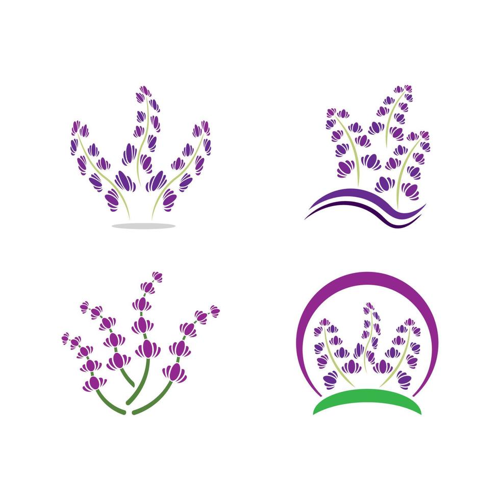 vector de logotipo de flor de lavanda fresca