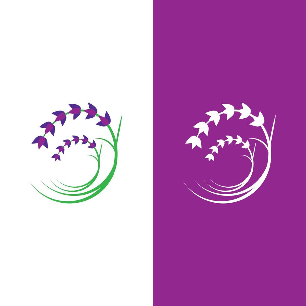 vector de logotipo de flor de lavanda fresca