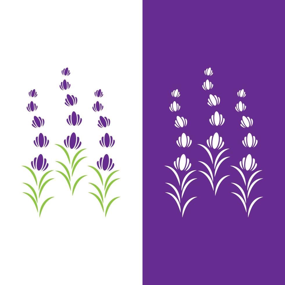 Fresh Lavender flower logo vector