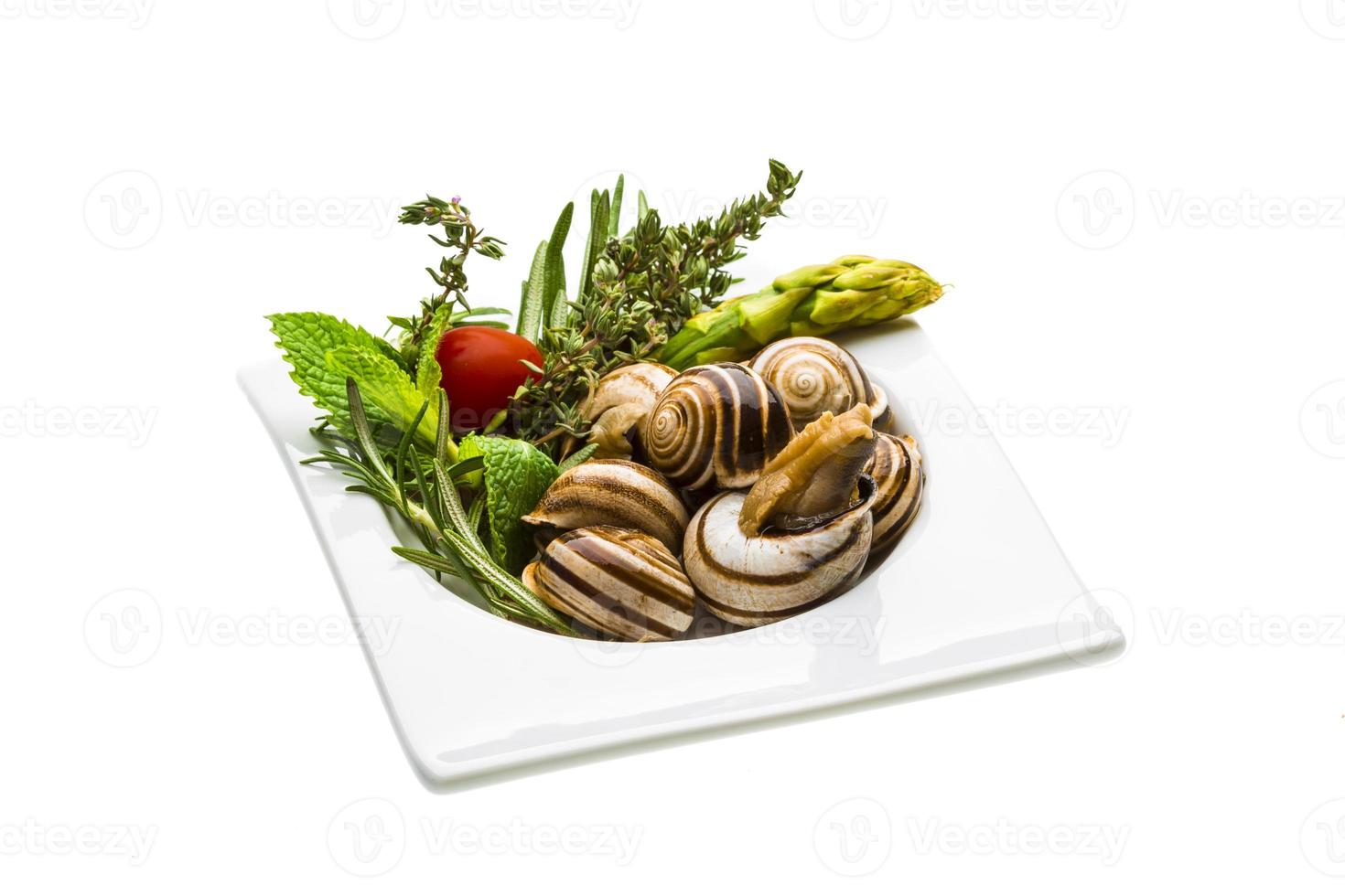 Escargot with asparagus, rosemary, thymus and tomato photo