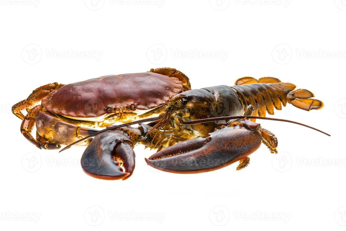 Raw Lobster and Crab photo