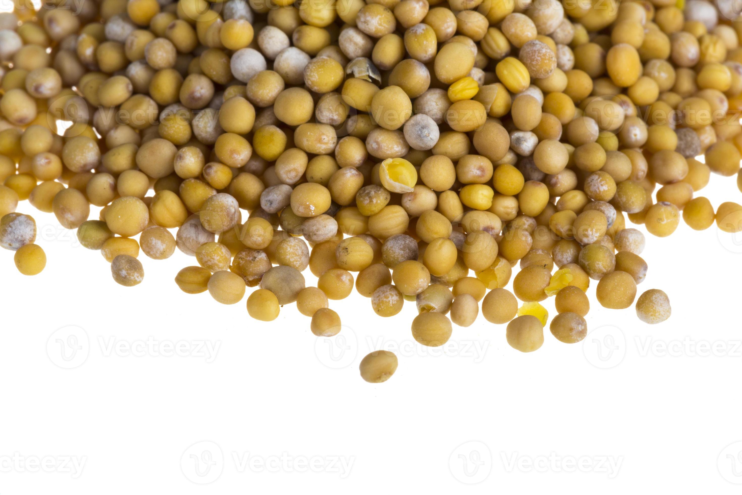 yellow mustard seeds 7869623 Stock Photo at Vecteezy
