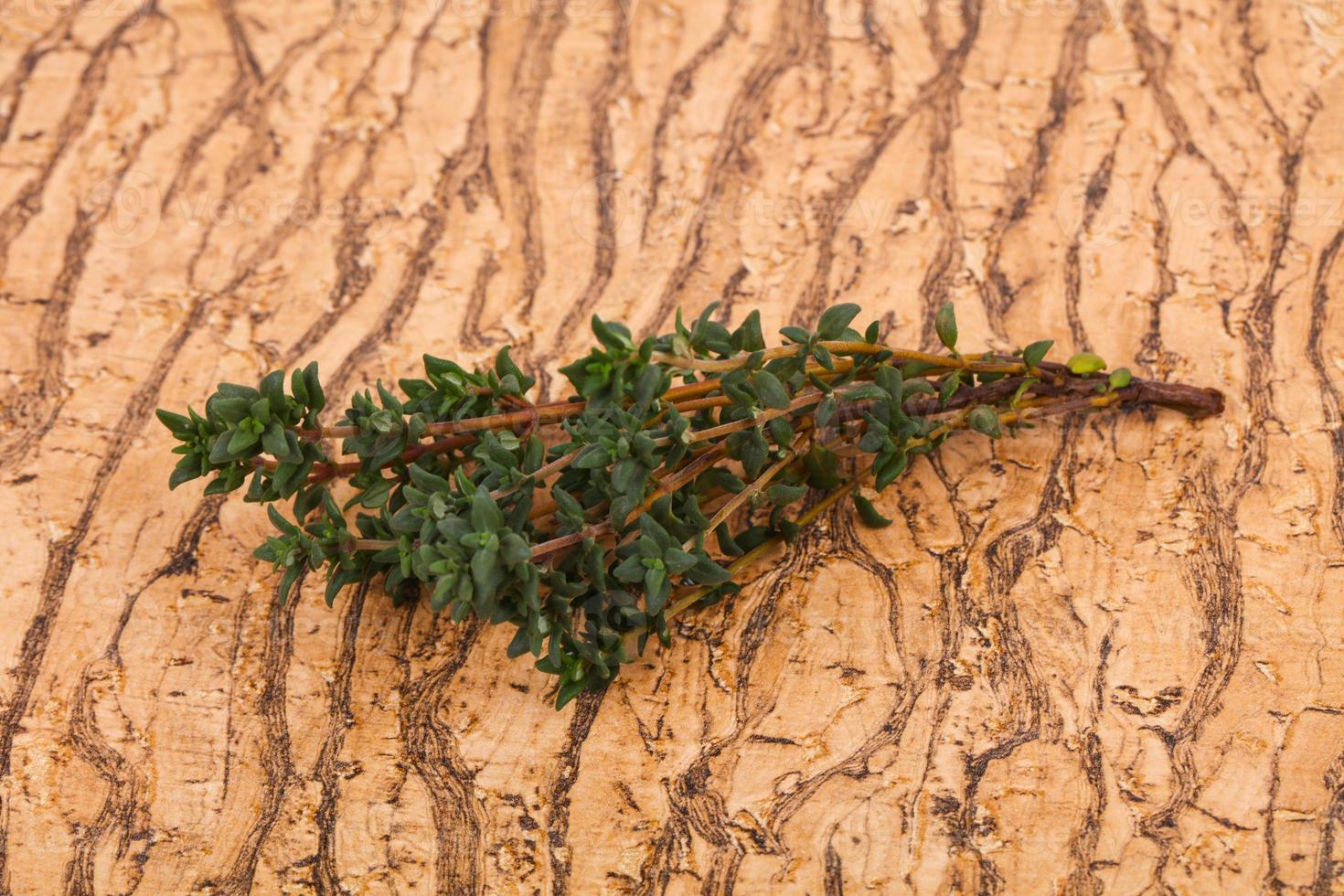 Green Thyme branch photo