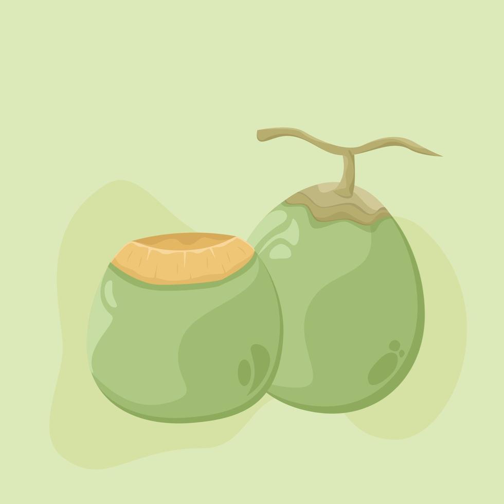 Green Coconut in Flat Design Style Vector