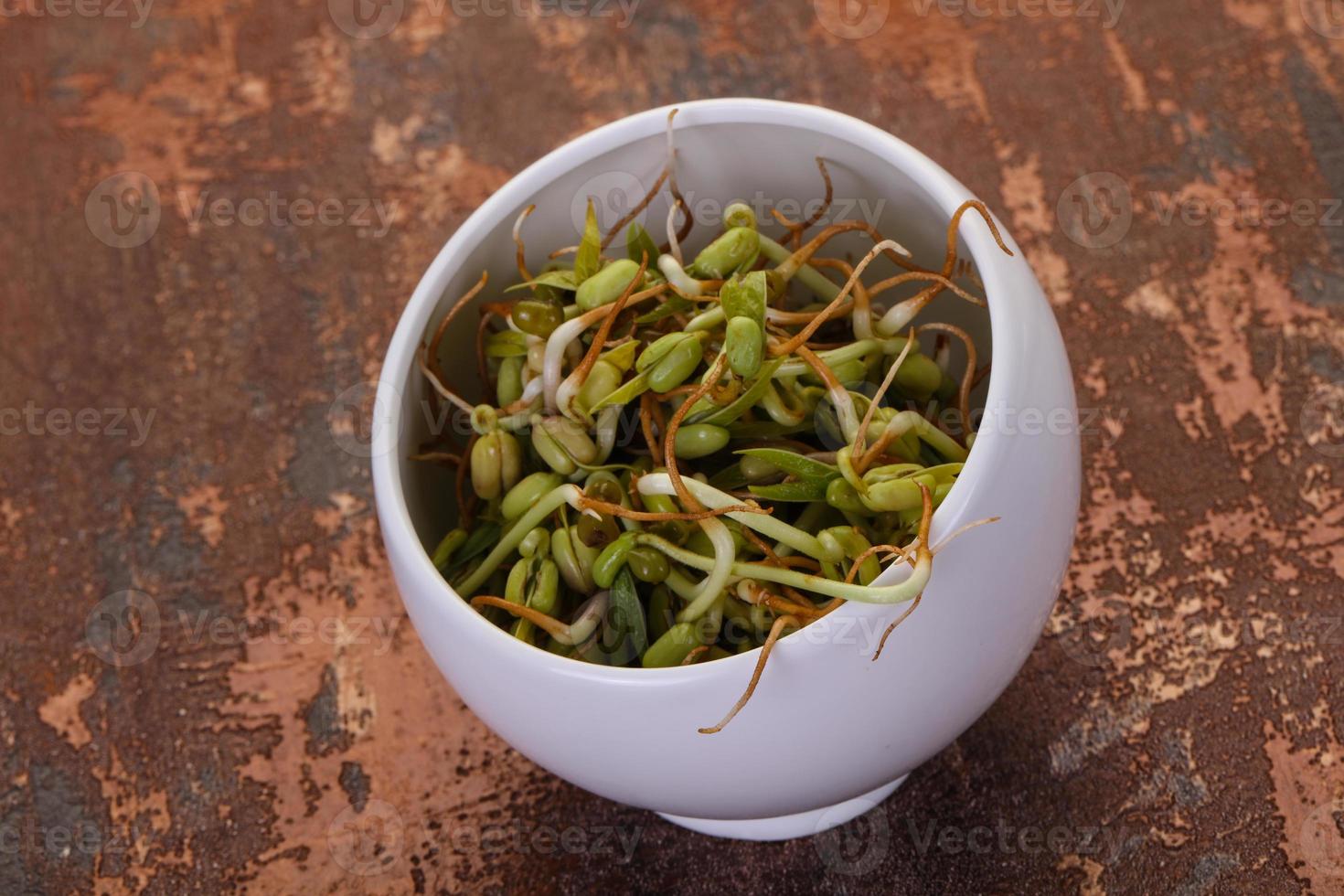 Mash bean sprout photo