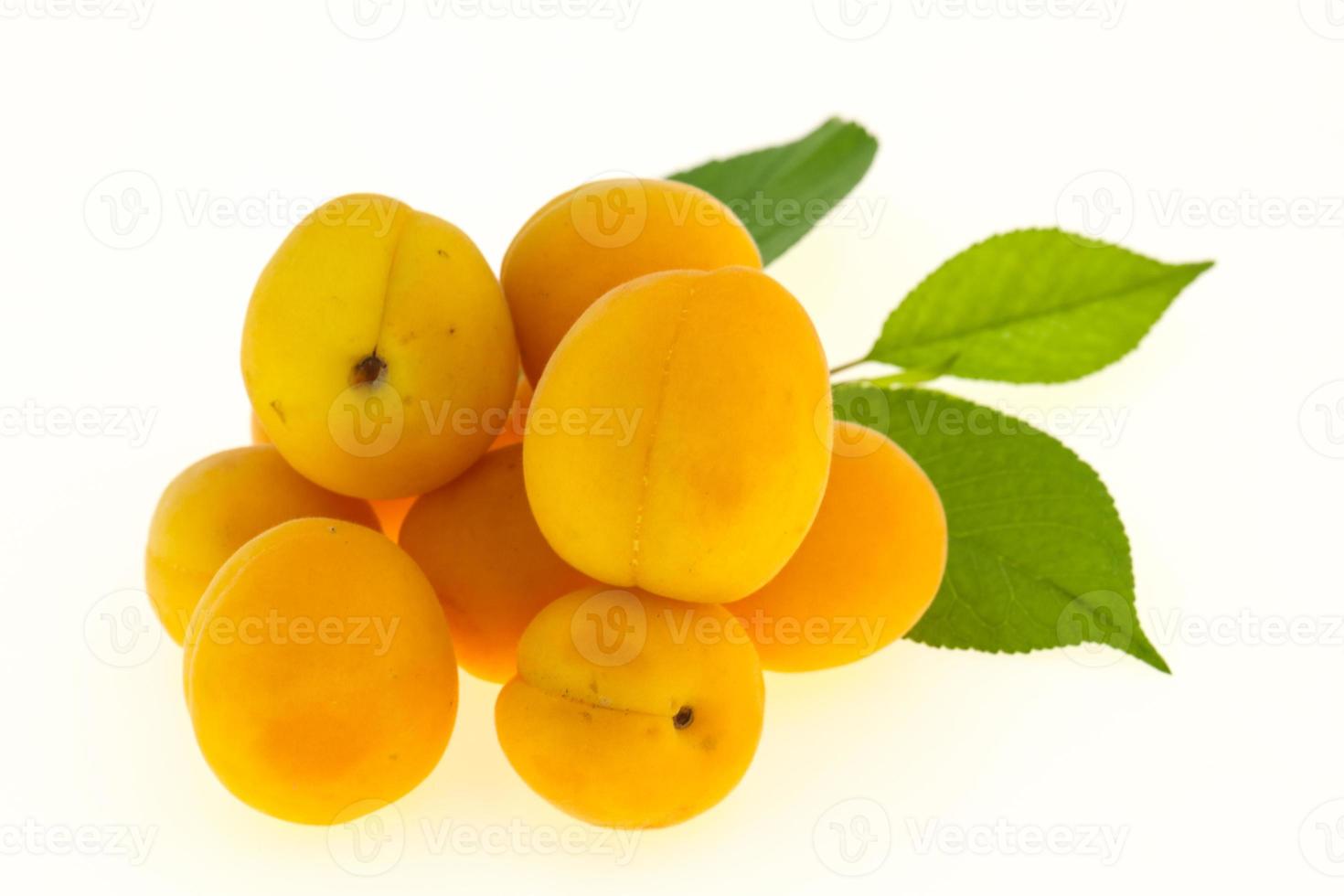 Ripe tasty sweet apricots heap photo