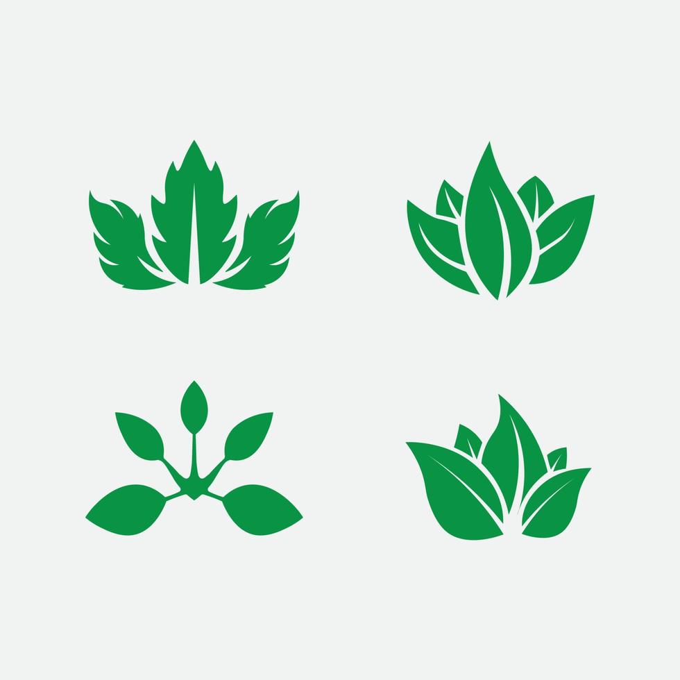 Tree leaf vector and green logo design friendly concept