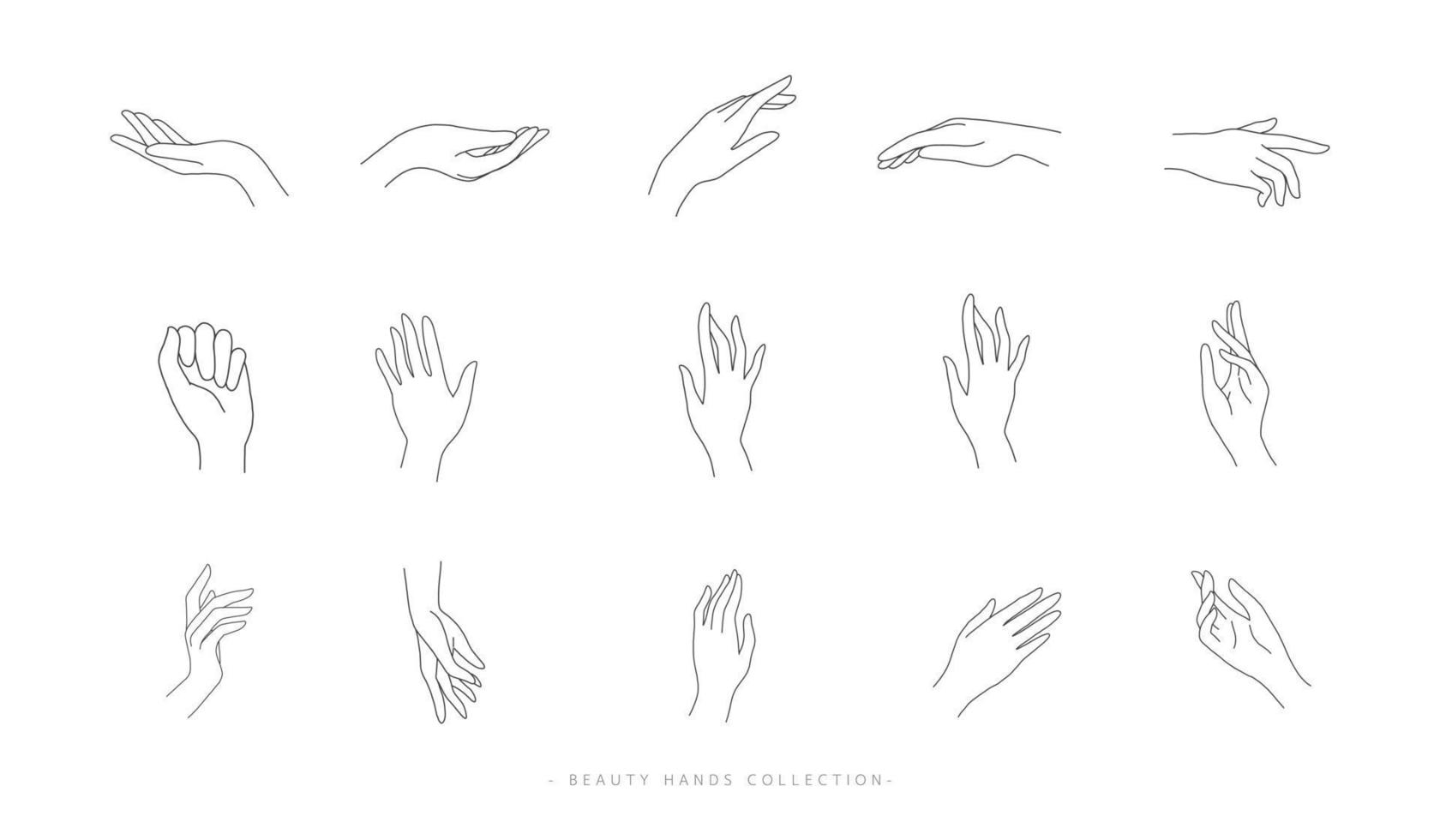 conjunto de diseño de línea de mano de belleza. manos femeninas abstractas y signo de dedo o icono de contorno de símbolo para logotipo, cosmética, cuidado de la piel y negocio de la mujer. ilustración vectorial vector