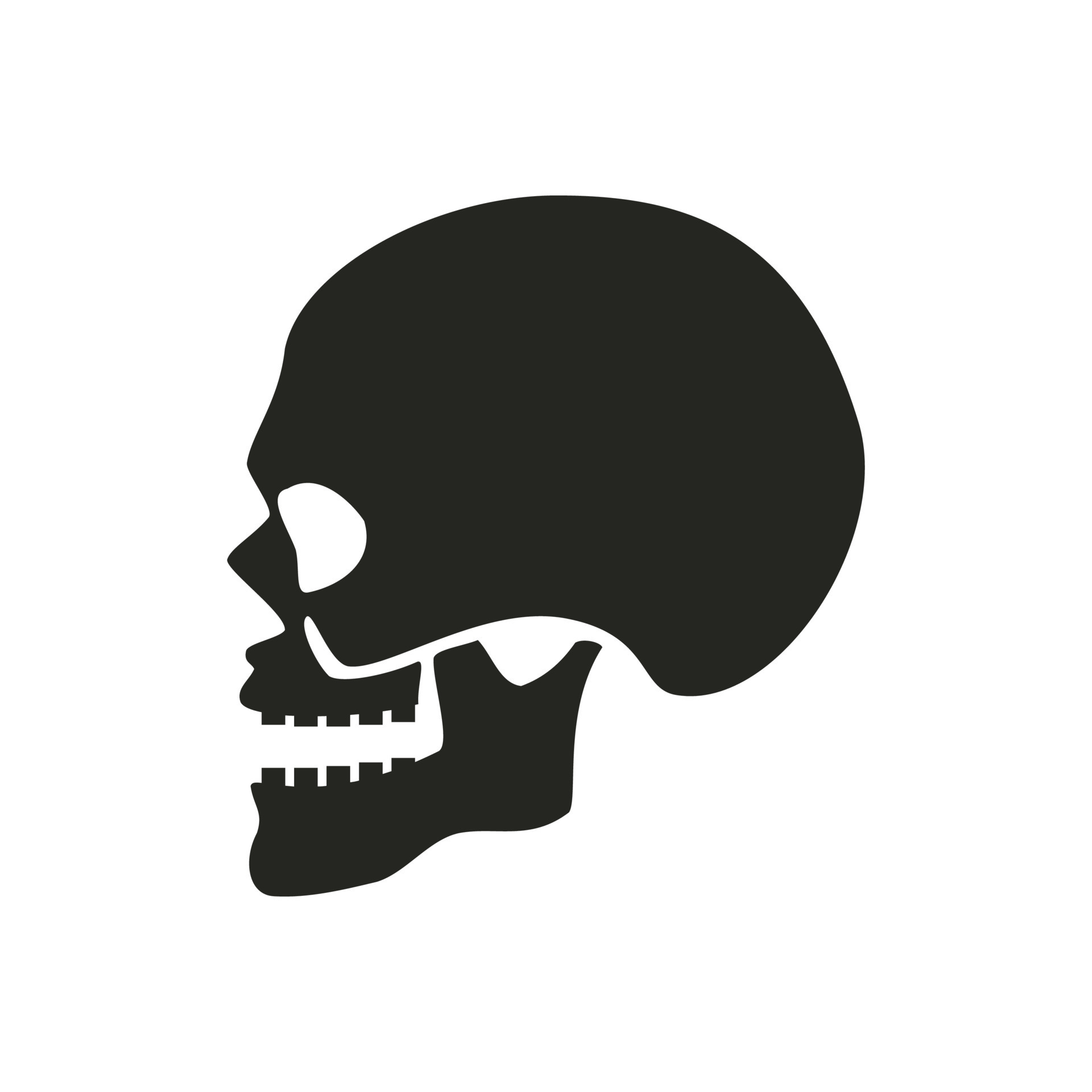 human skull icon illustration. vector design that is suitable for websites,  apps. 7873350 Vector Art at Vecteezy