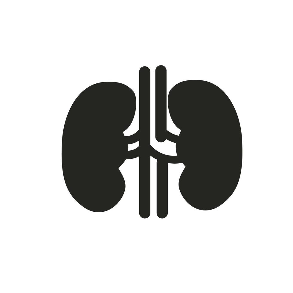 kidney icon illustration  . vector designs that are suitable for websites, apps and more.