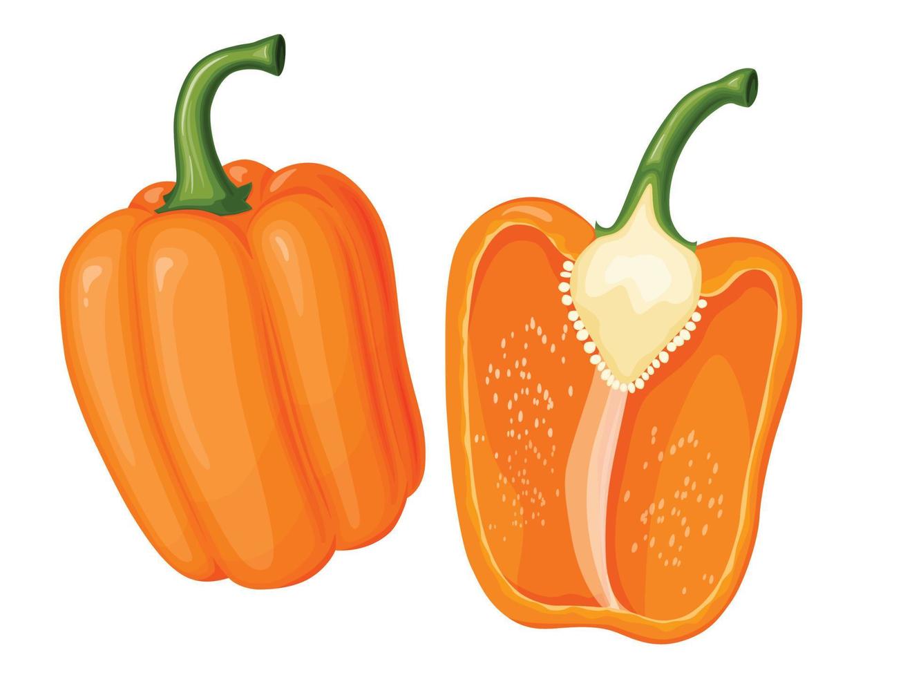 pimiento naranja dulce. ilustración de vegetales en estilo plano simple de dibujos animados. vector