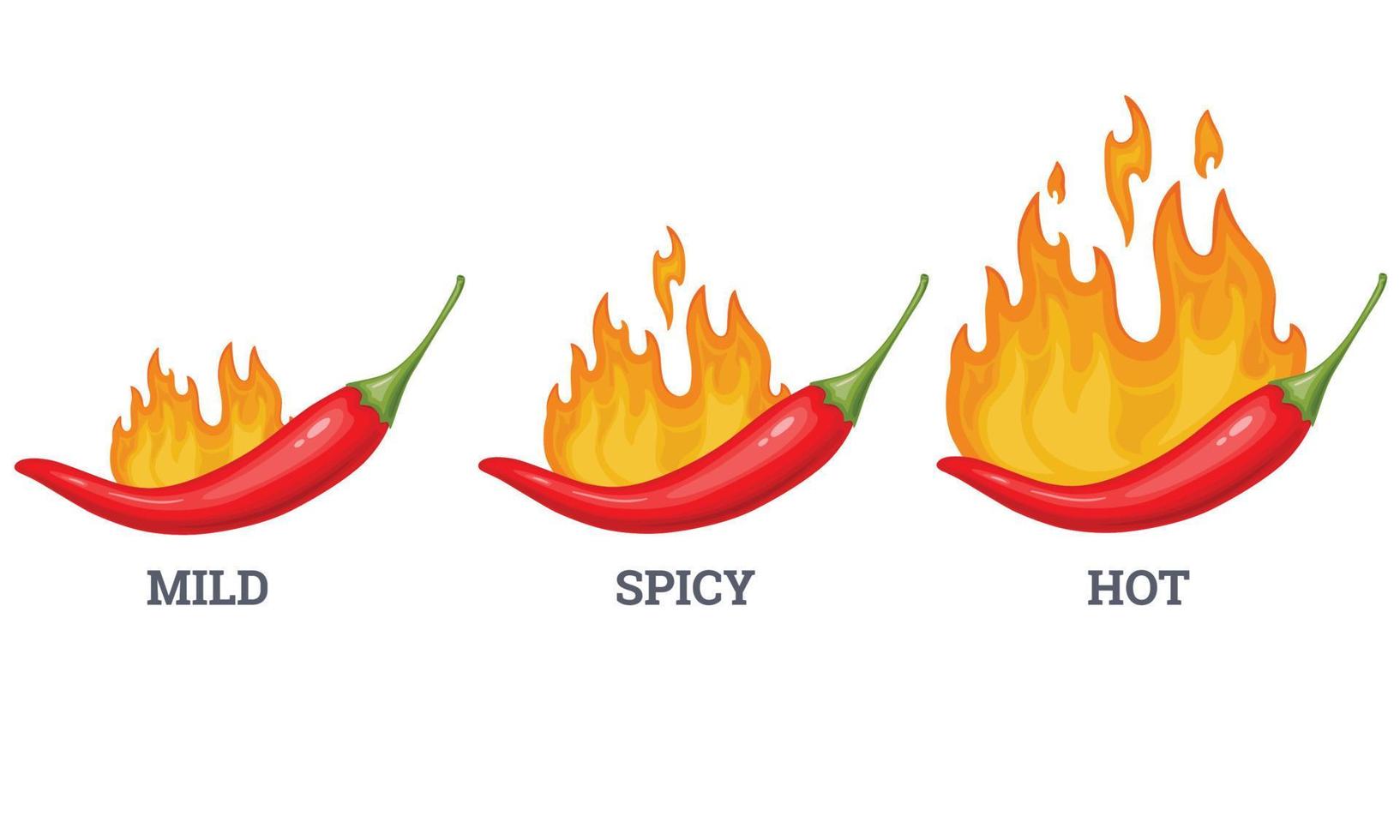 Hot spicy level labels. Vector spicy food level emblems collection.