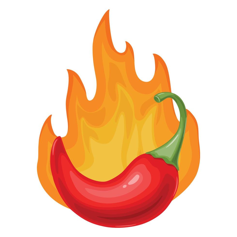 Red hot Chili pepper on fire. Mexican traditional food. vector