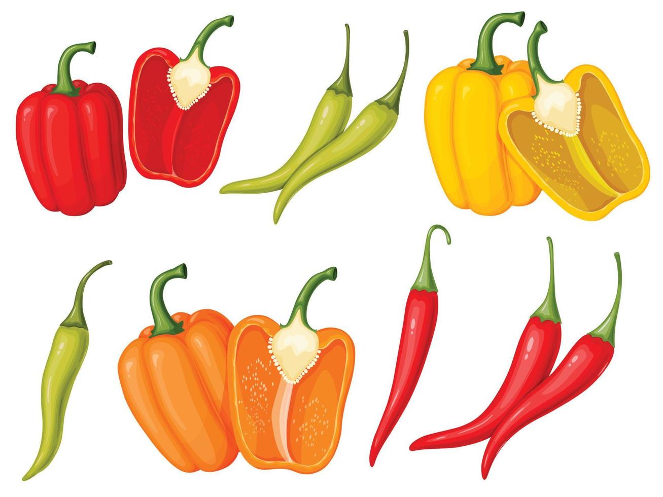 Sweet bell and chili pepper set. Illustration of vegetables in cartoon simple flat style. vector