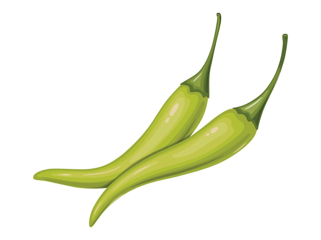 Green hot Chili pepper. Mexican traditional food. vector
