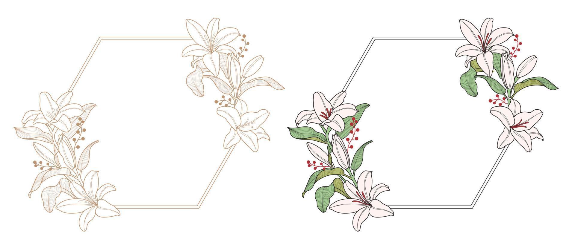 lily flower frame with hexagonborder vector