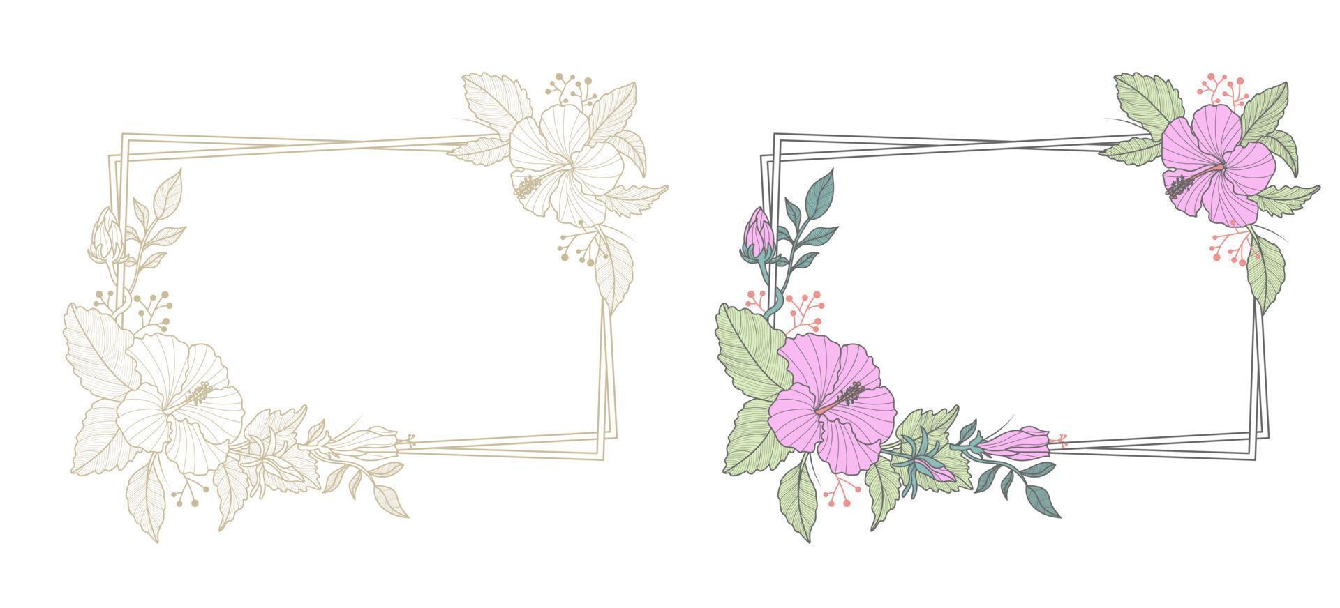 flower frame with rectangle border . tropical flowers . Magenta hibiscus flower vector