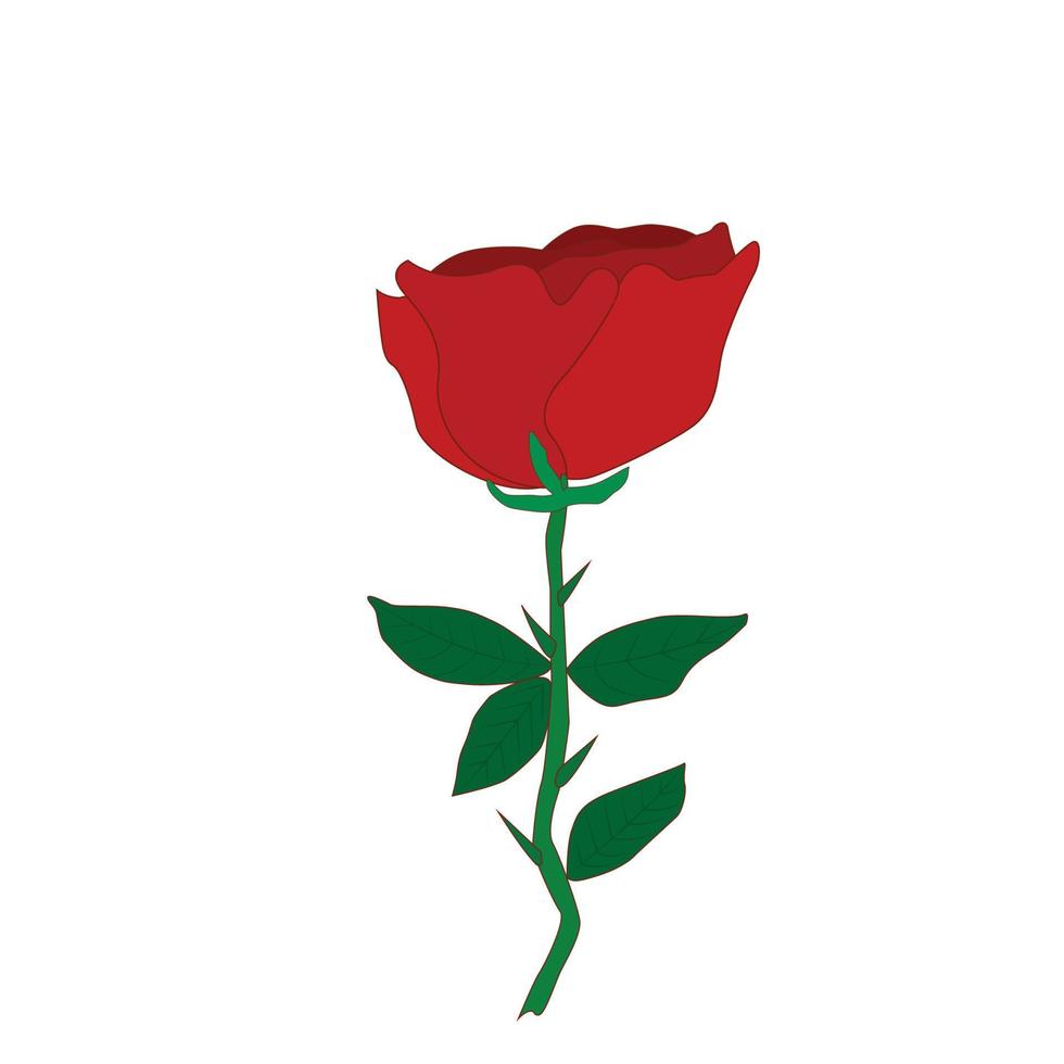 rosa roja con diseño plano y fondo blanco vector