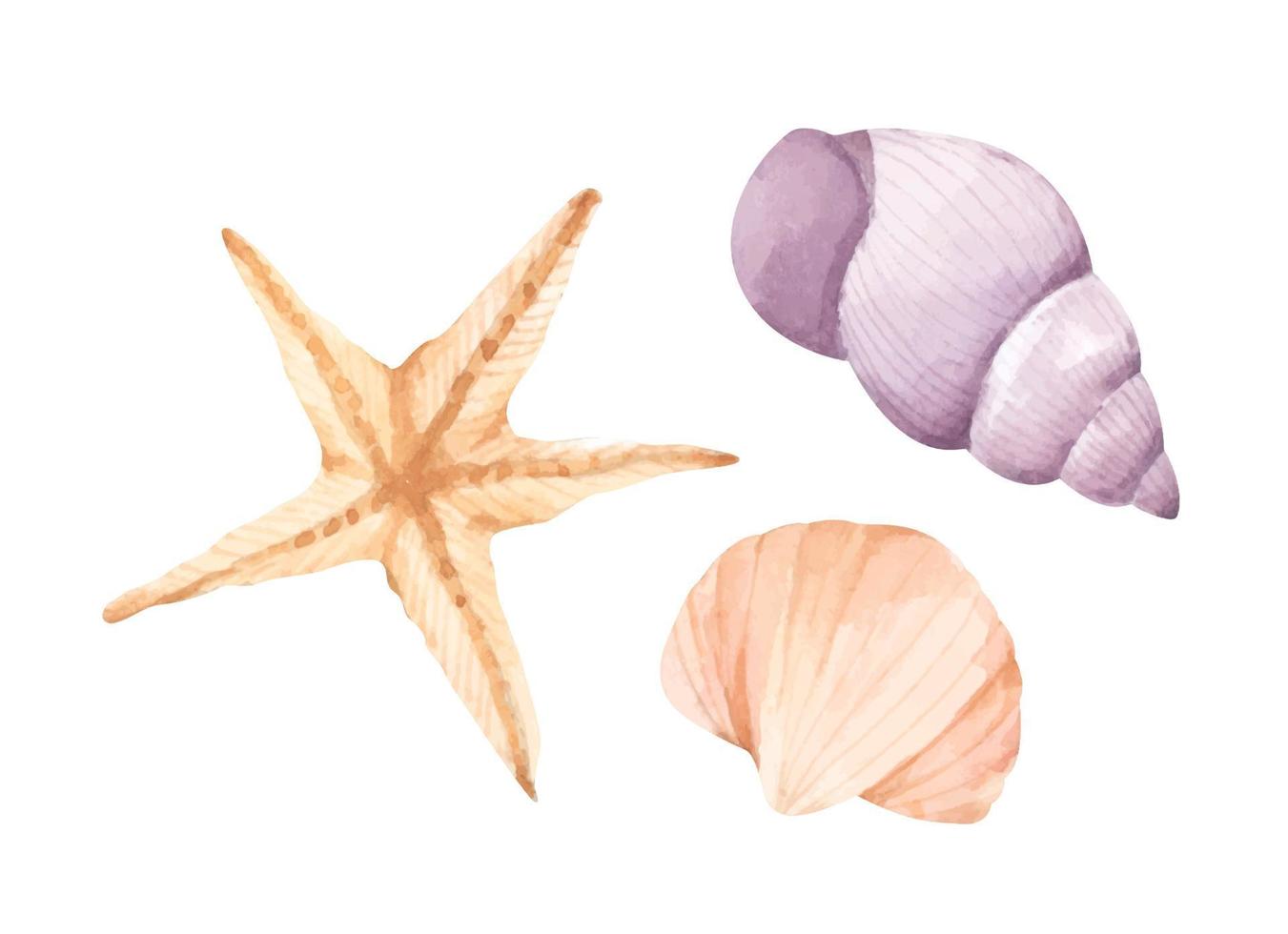 Collection of seashells. Watercolor illustration. vector