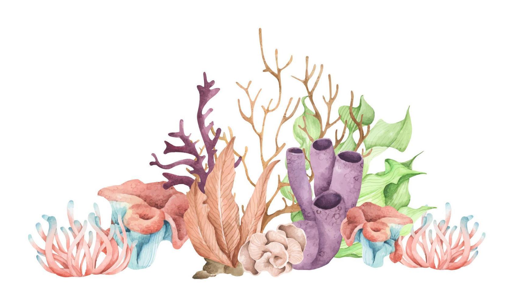 algas plantas oceánicas submarinas, elementos de coral marino. ilustración de acuarela vector