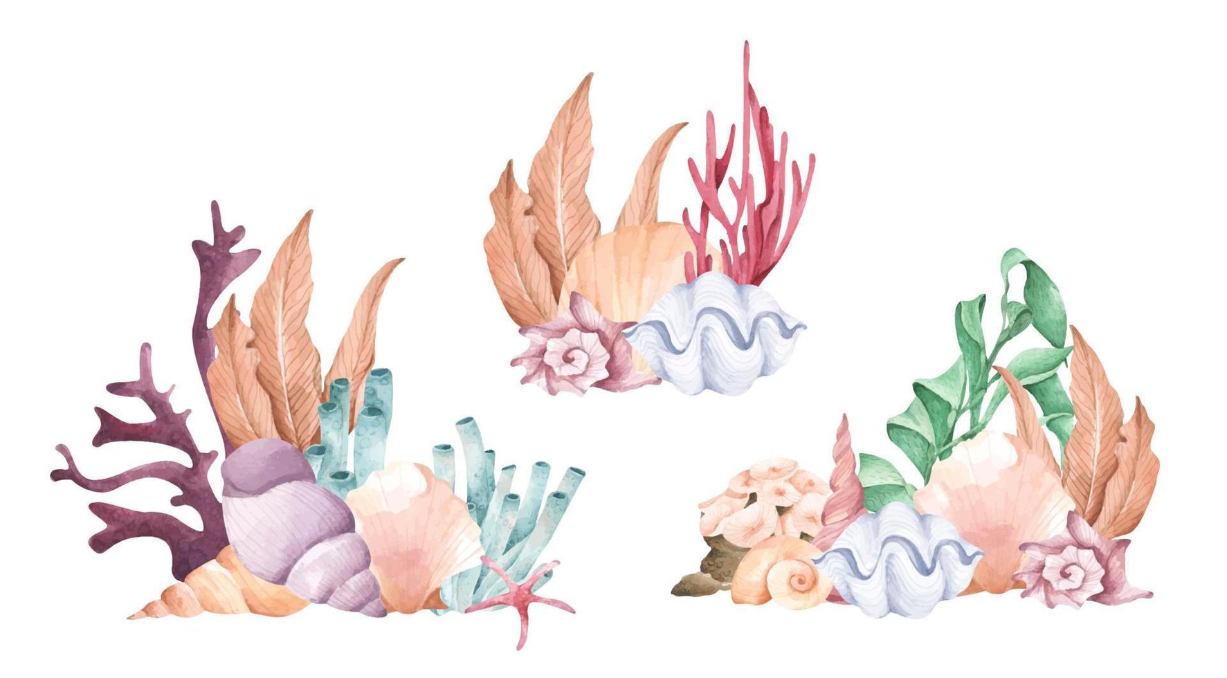 Watercolor composition with seaweed, corals and shells. vector