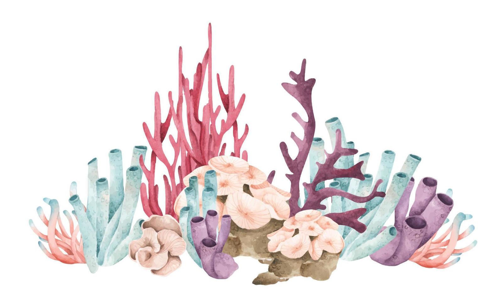 algas plantas oceánicas submarinas, elementos de coral marino. ilustración de acuarela vector