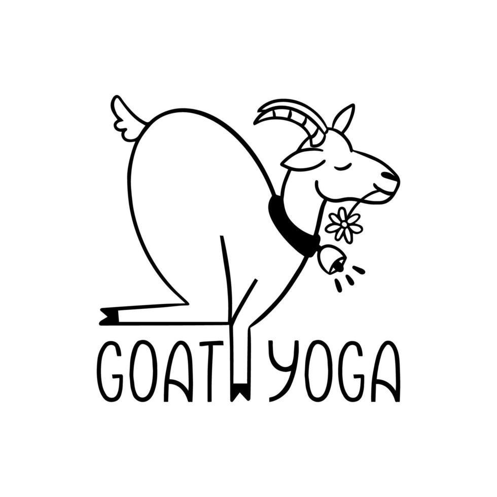 Goat yoga exercise trend illustration of farm animal. New fitness style concept isolated on white background. vector