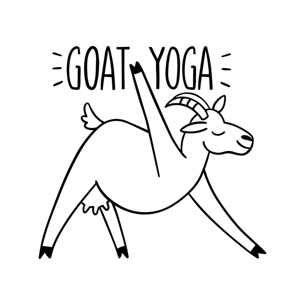 Goat yoga outline illustration. Modern fitness. Flat vector illustration of funny animal isolated on white background